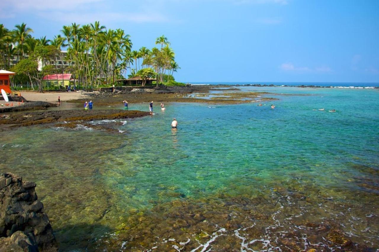 The cozy big studio -30 days Kailua-Kona Zewnętrze zdjęcie